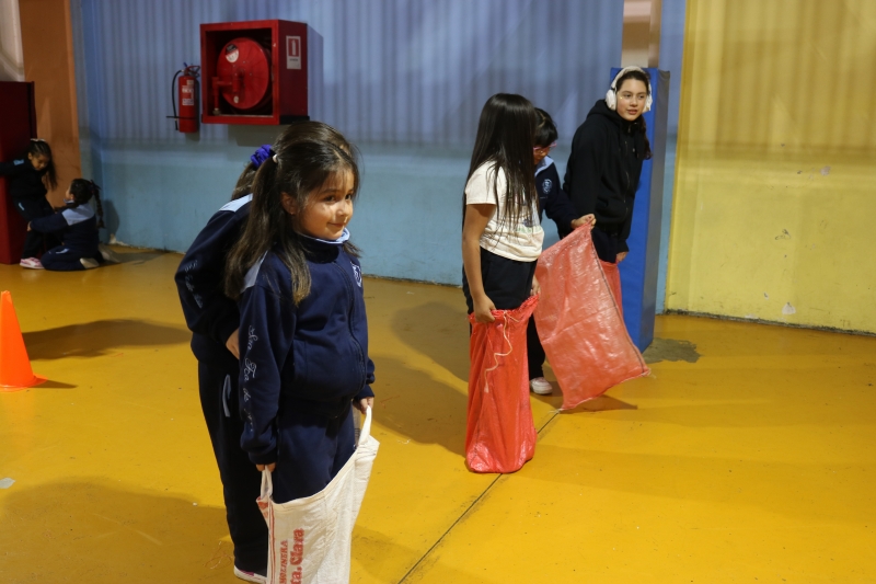 Día de la Actividad Física